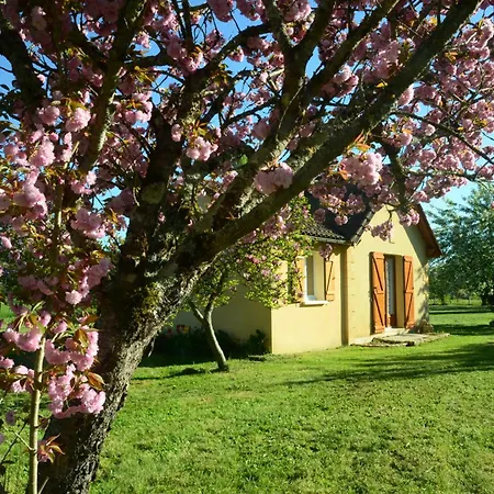 La Cle Des Champs A Lascaux *